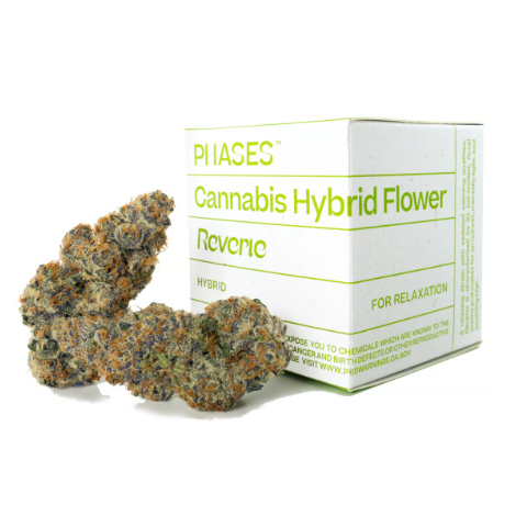 Reverie (Lemon Dreamsicle)