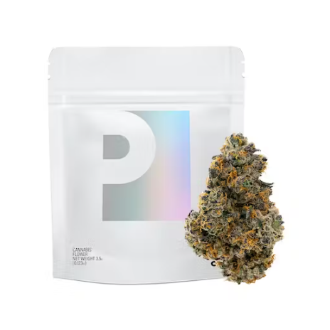 Permanent Marker Indoor 1/8th Box