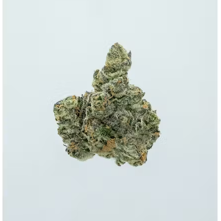 Afternoon Delight Tin