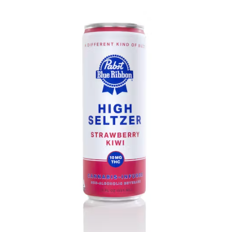 Infused High Seltzer - Strawberry Kiwi | 10mg | Single Can