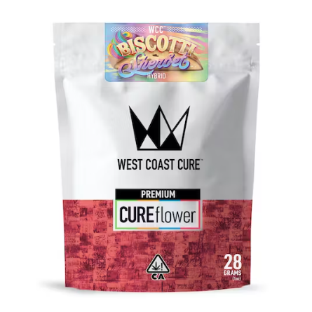 Biscotti Sherbet - Premium Flower