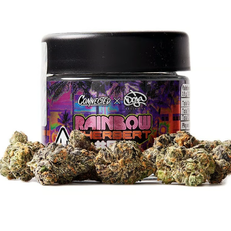 Rainbow Sherbert #54 - Indoor Flower