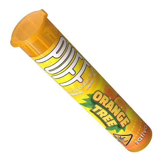 Orange Tree - Preroll