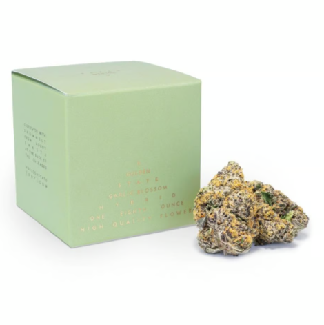 Garlic Blossom (Hybrid)