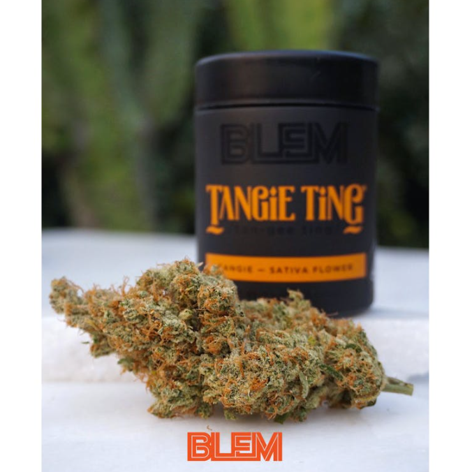 TANGIE TING