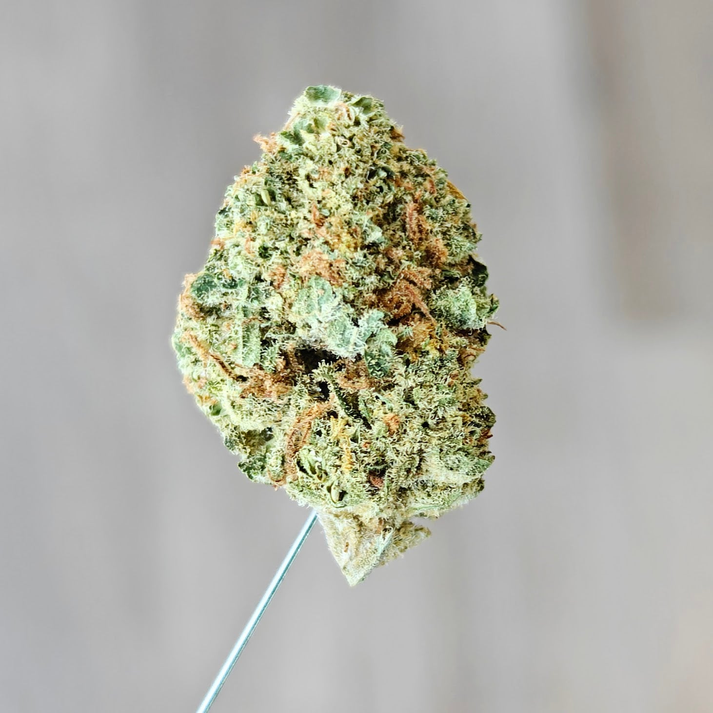 Zips - Strawberry Tonic 3.5g